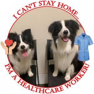 Meet your Posher, Jo